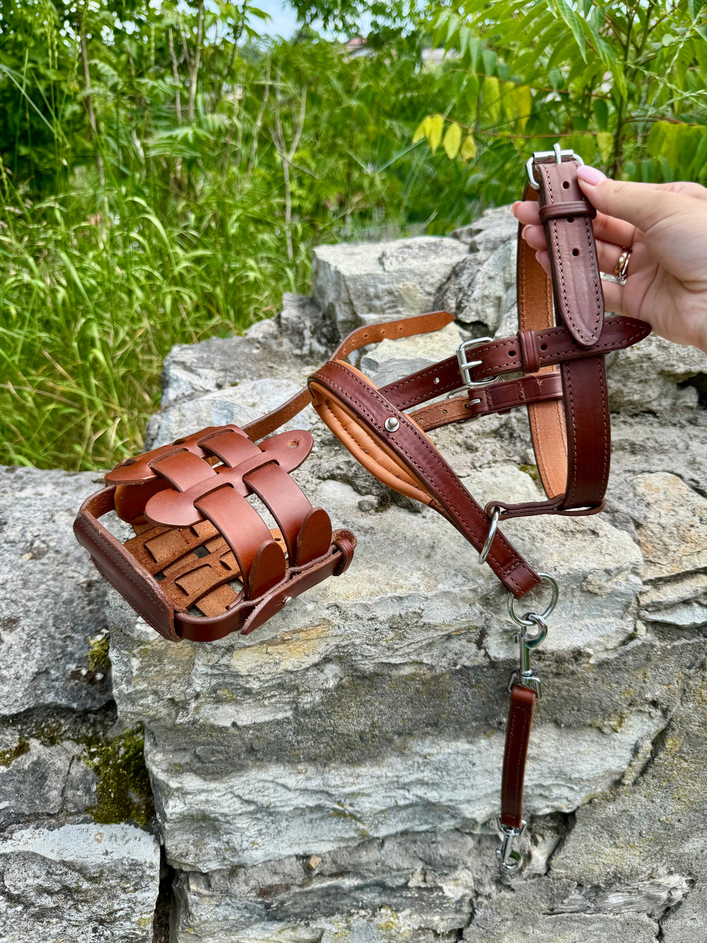 Dog Muzzle and Head Collar Set, Large Dog Muzzle Near Me