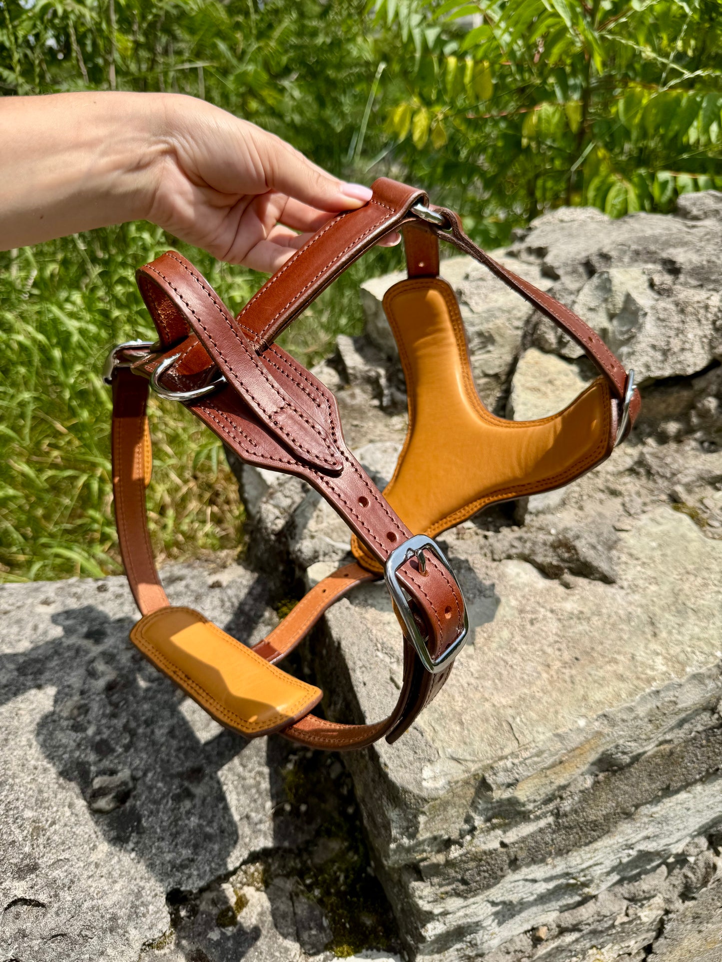 Leather Dog Harness and Leash Personalized Dog Harness Set