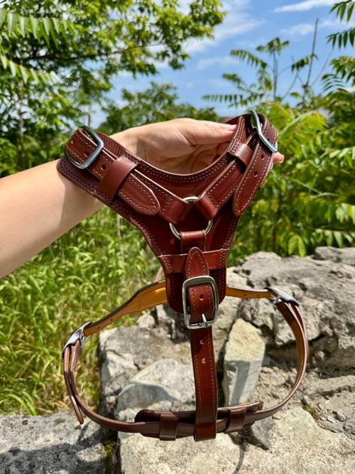 Brown Leather Dog Harness, Soft Padded, Comfortable Fit for Large Dogs