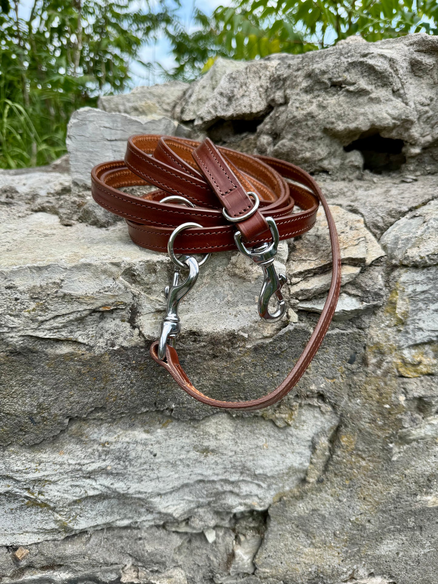 Leather leash for dogs, Dog Accessories, Gift for Dog Owners