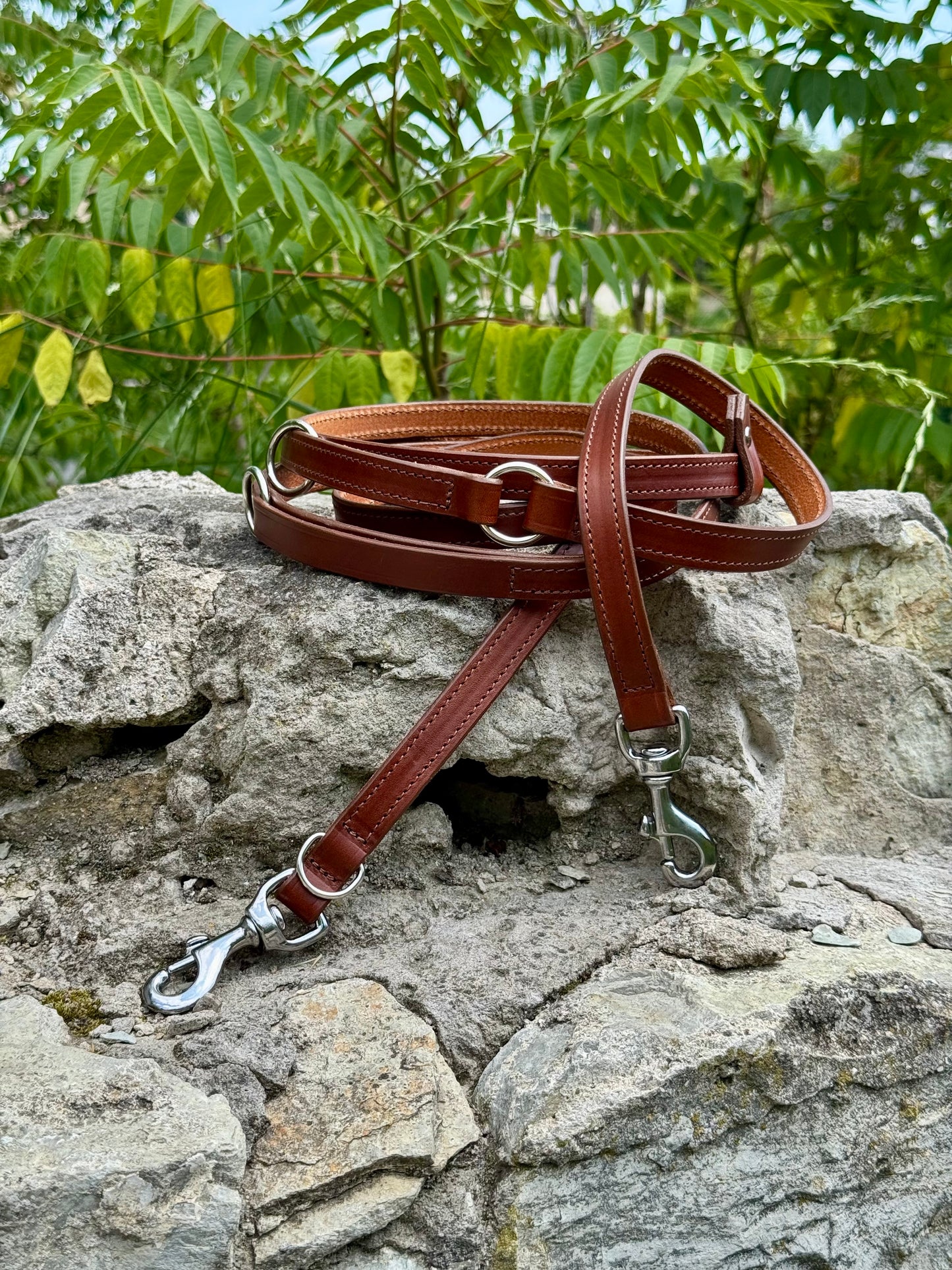 Leather leash for dogs, Dog Accessories, Gift for Dog Owners