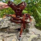 Personalized Leather Dog Harness and Leash Set