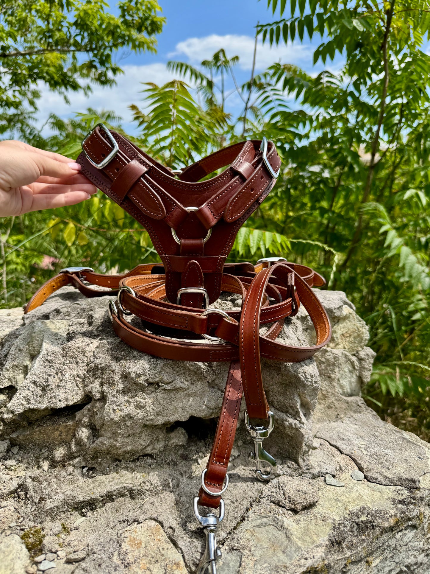 Leather Dog Harness and Leash Personalized Dog Harness Set