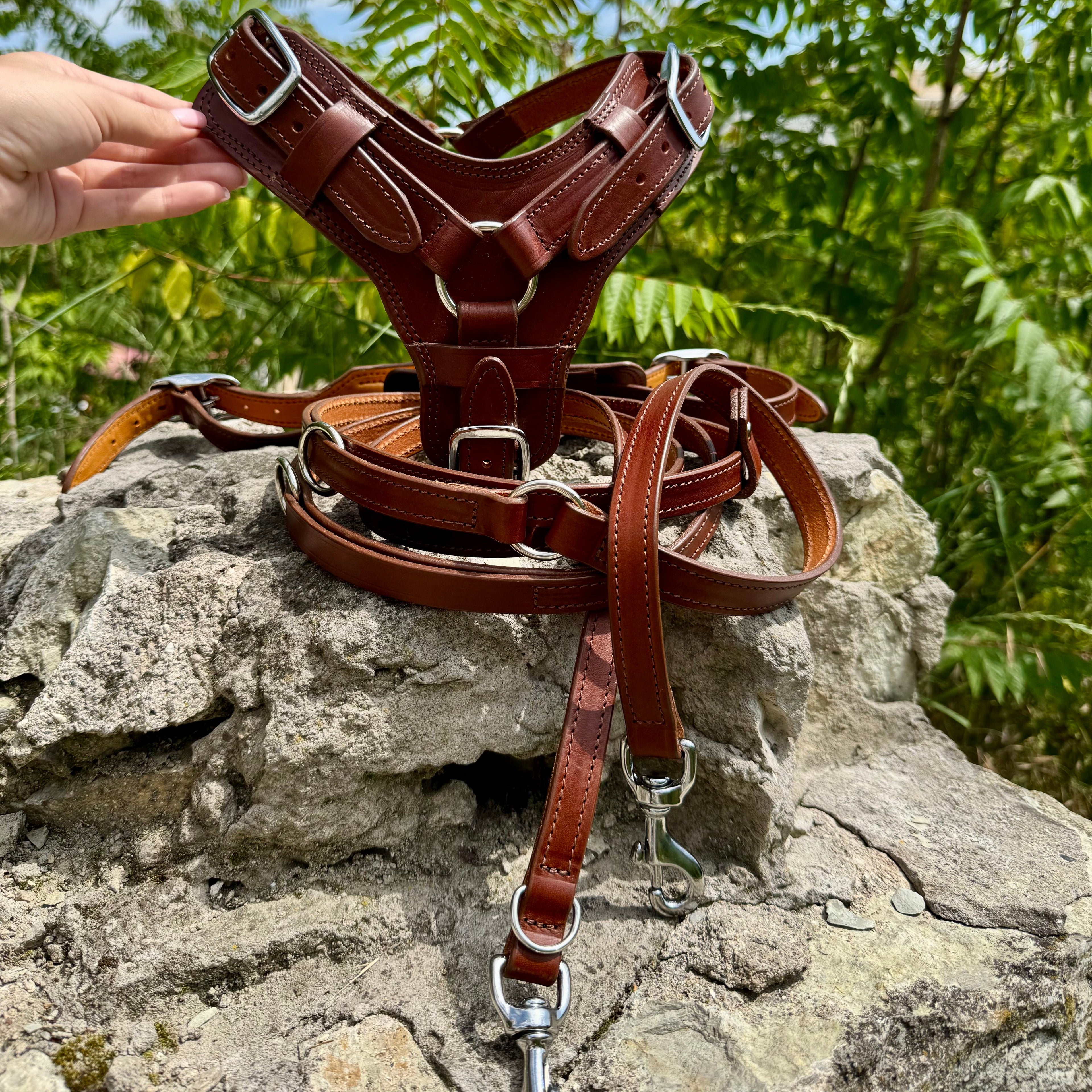 Personalized Leather Dog Harness and Leash Set