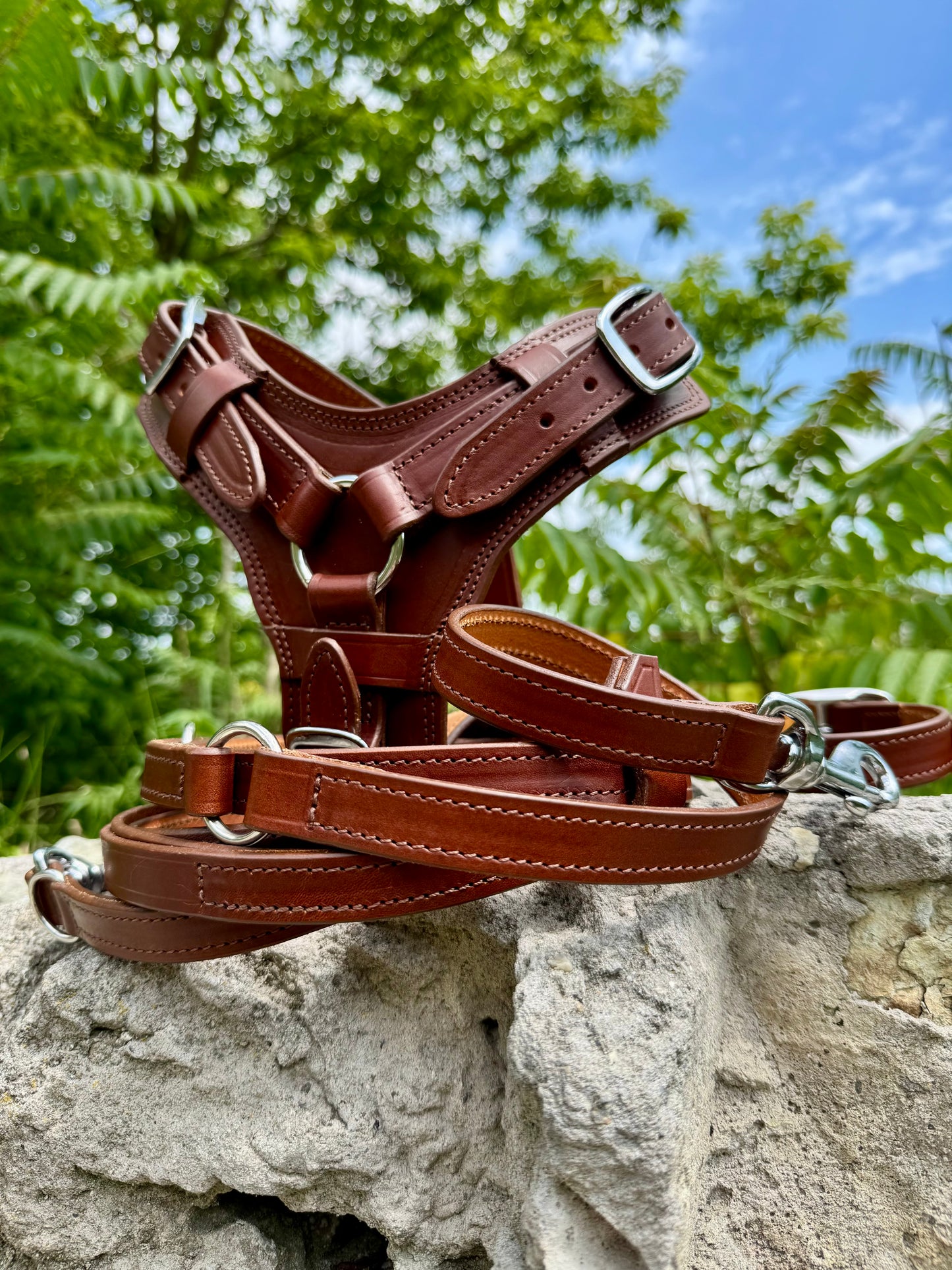 Leather Dog Harness and Leash Personalized Dog Harness Set