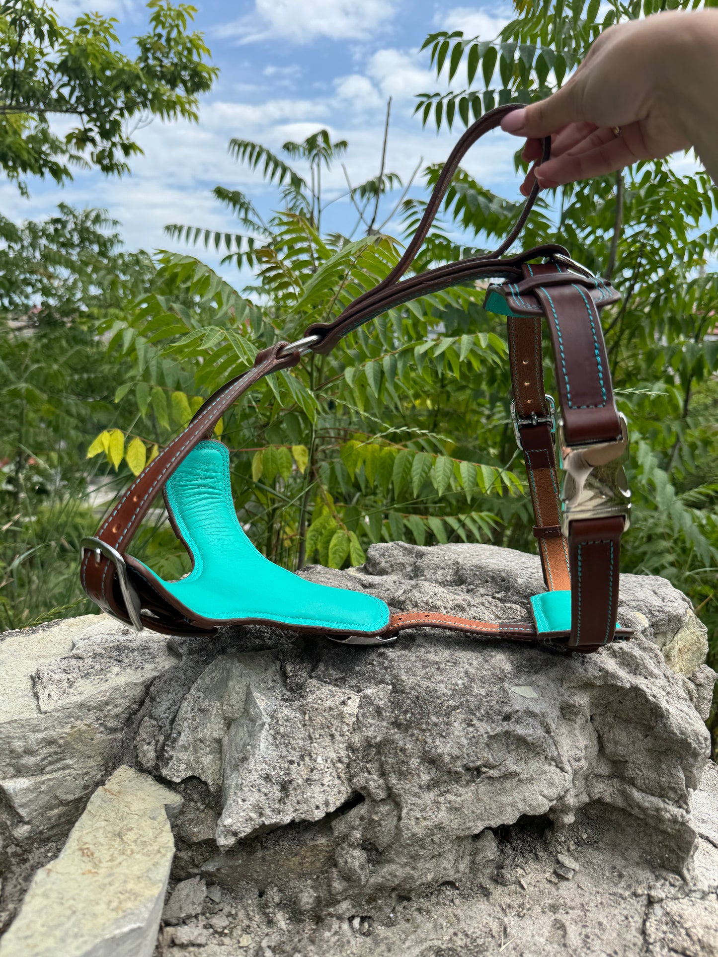 Leather Dog Harness and Leash and Collar Personalized Dog Harness Set