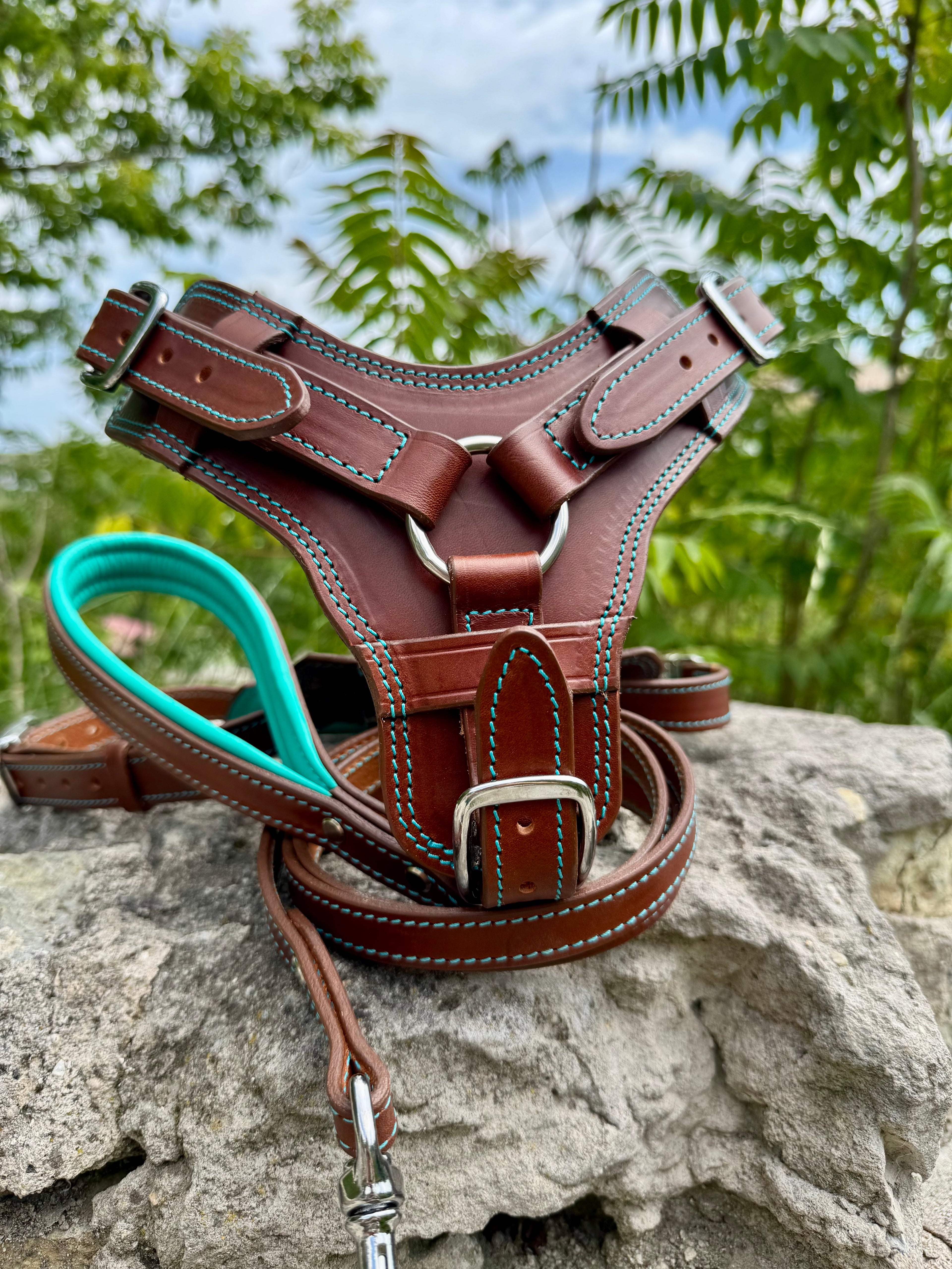 Personalized Leather Dog Harness Collar and Leash Set