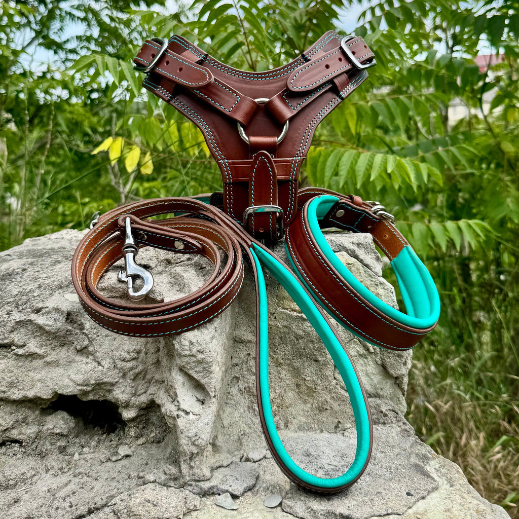 Personalized Leather Dog Harness Collar and Leash Set