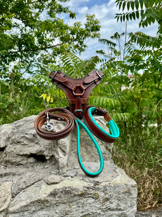 Leather Dog Harness and Leash and Collar Personalized Dog Harness Set