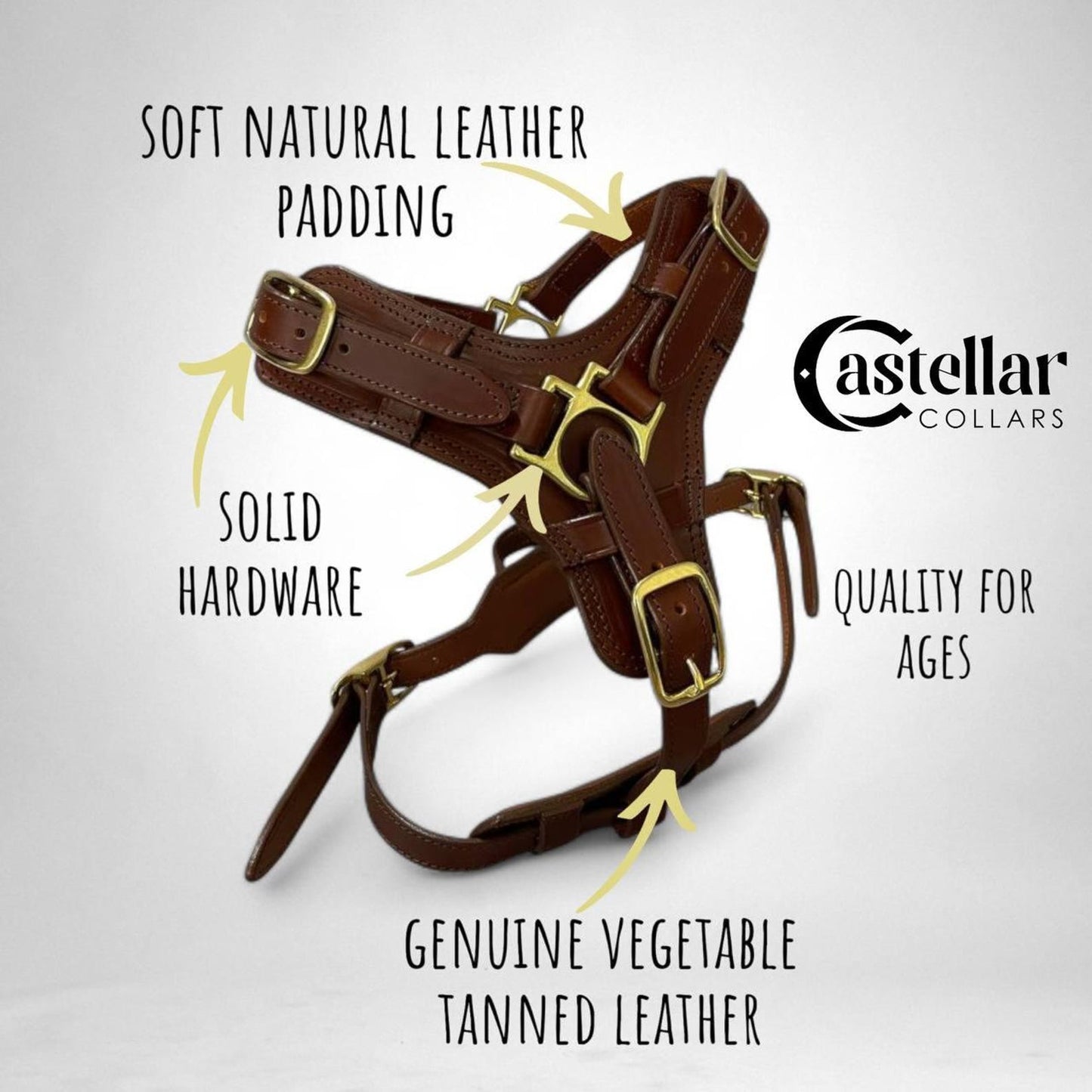 Luxury Leather Dog Harness with Brass Hardware