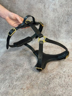 Ergonomic Dog Harness Premium Leather