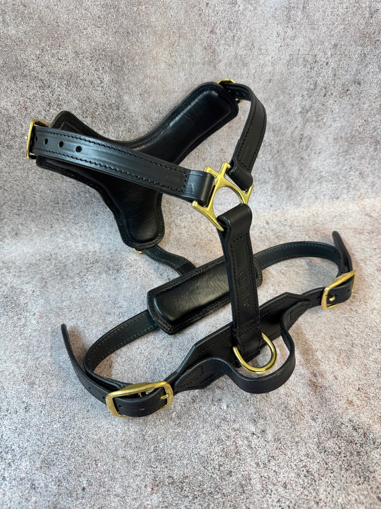 Ergonomic Dog Harness Premium Leather