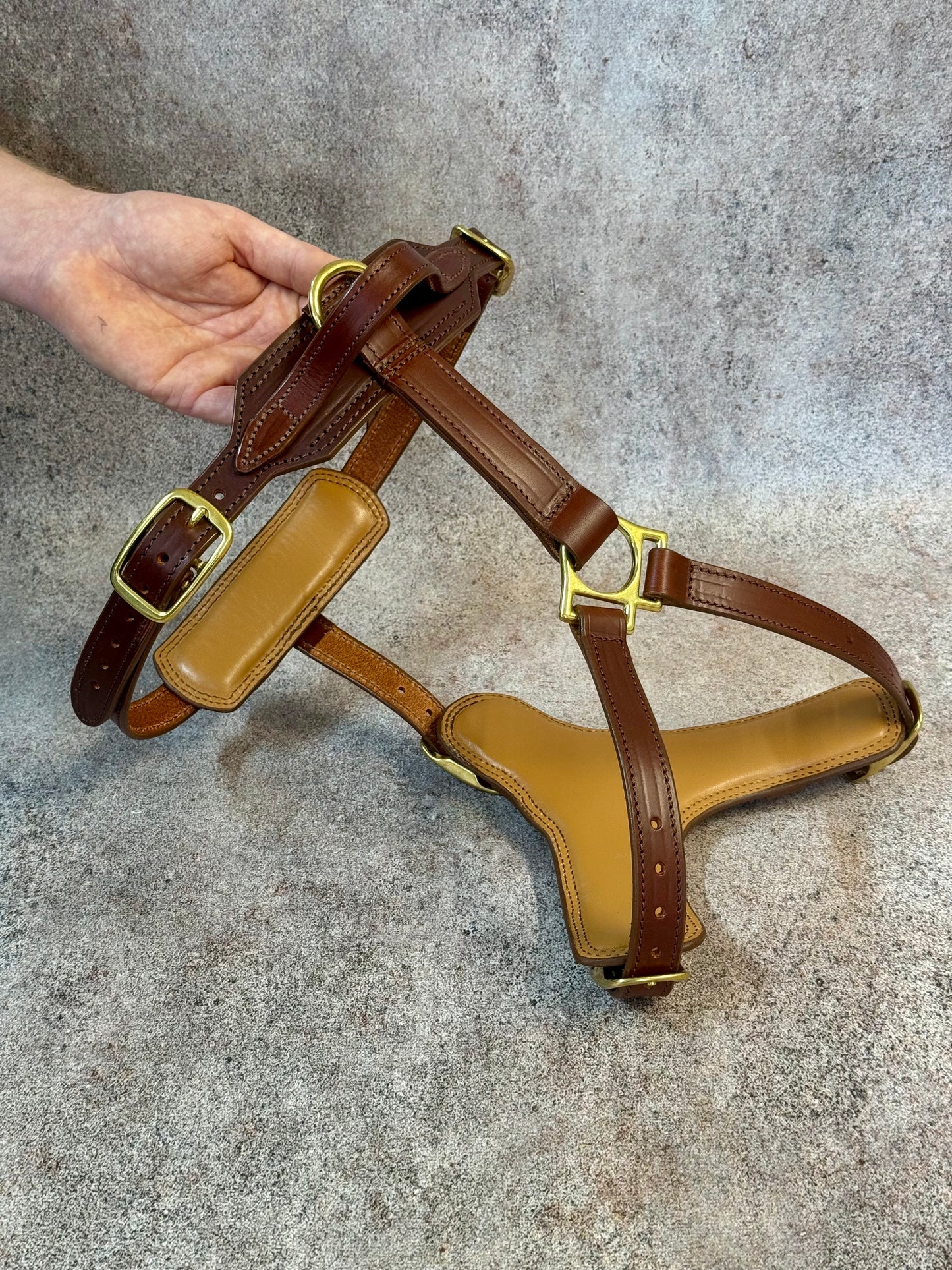 Luxury Leather Dog Harness with Brass Hardware