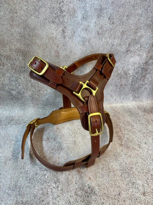 Luxury Leather Dog Harness with Brass Hardware