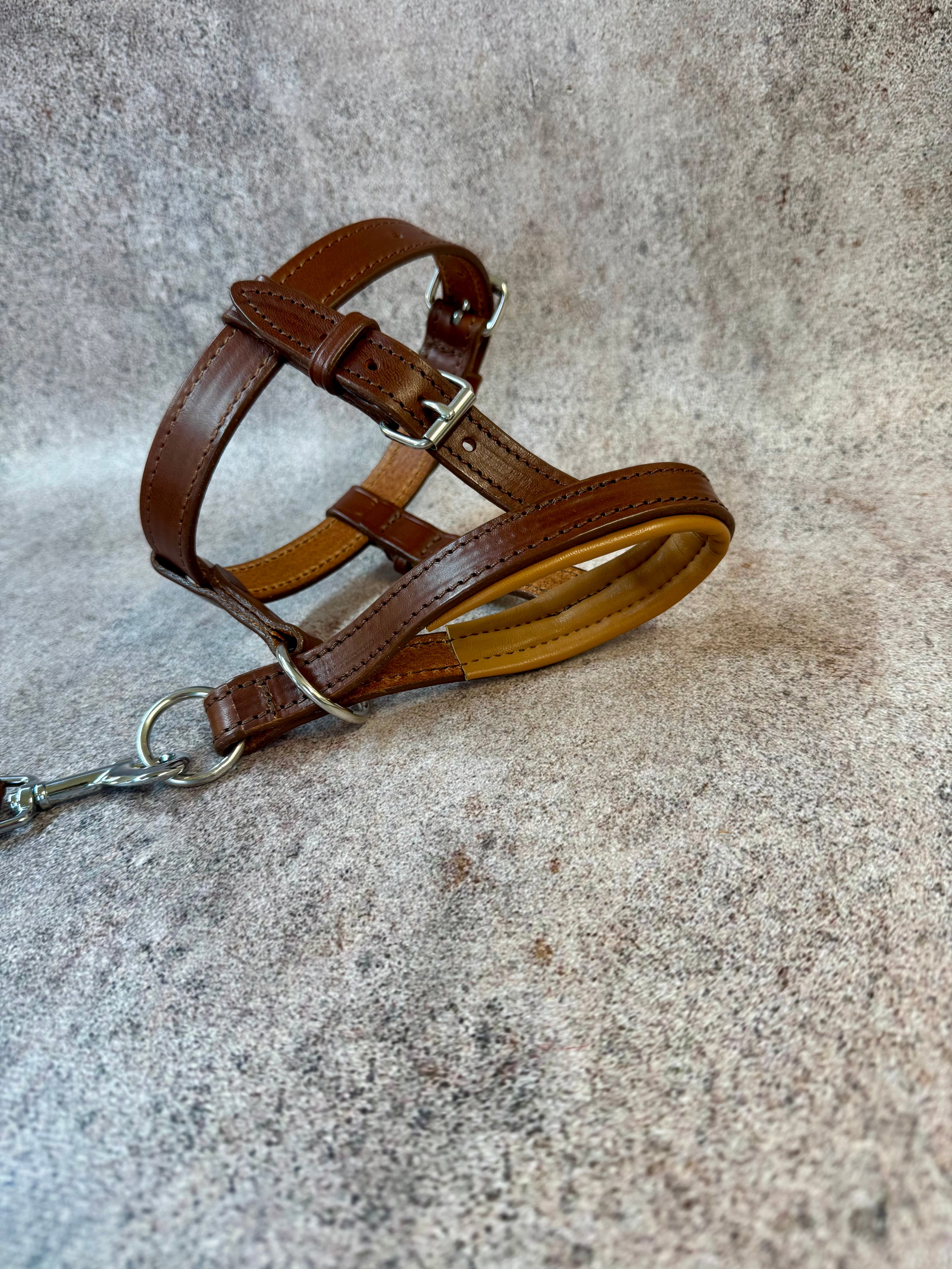 Leather Dog Halter, Dog Head Collar No Pull, Soft Padded Muzzle Alternative for Large Dog