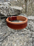 Leather Dog Collar 2.0
