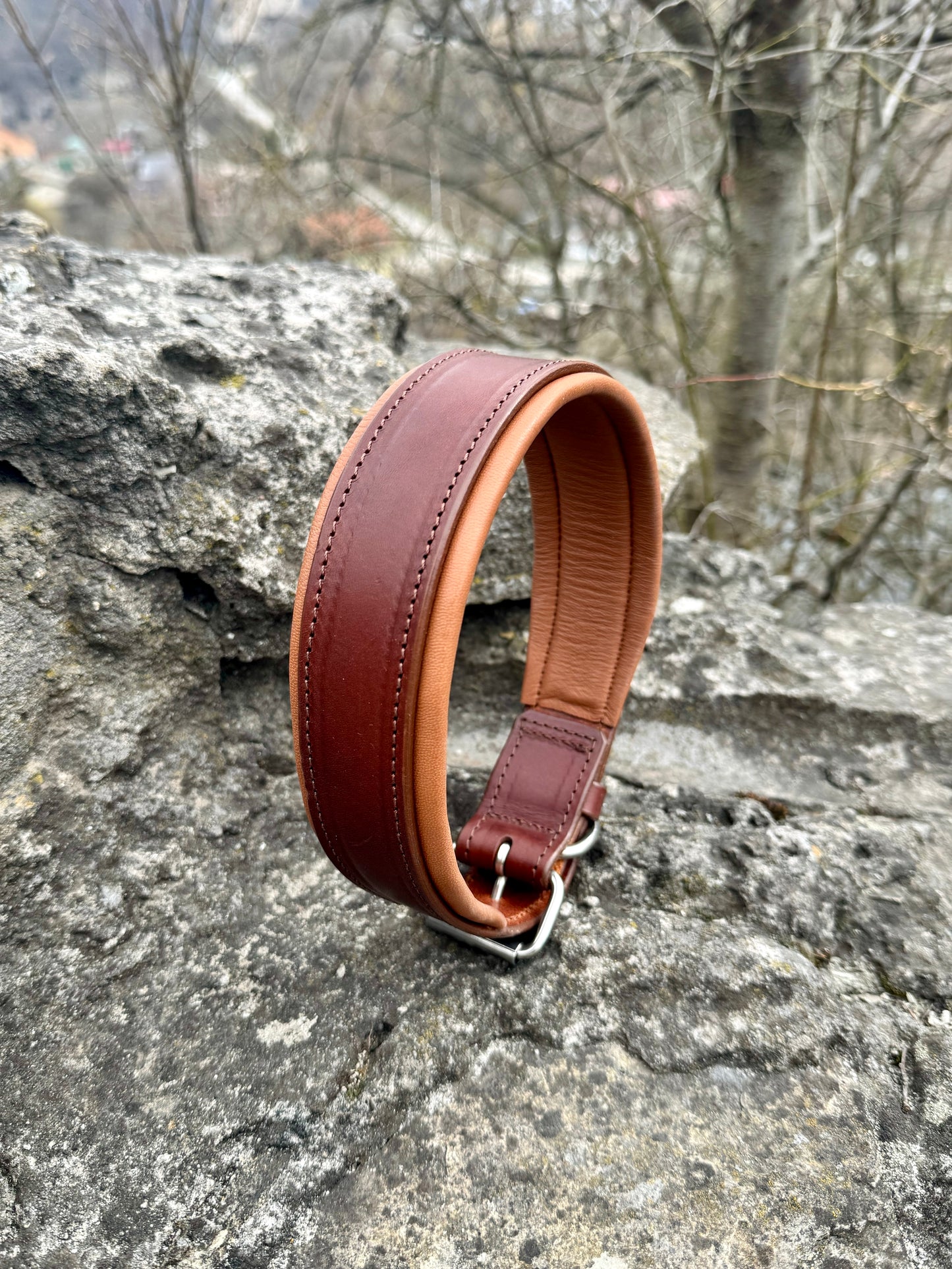 Personalized Leather Dog Collar & Leash Set – Brown & Caramel Edition