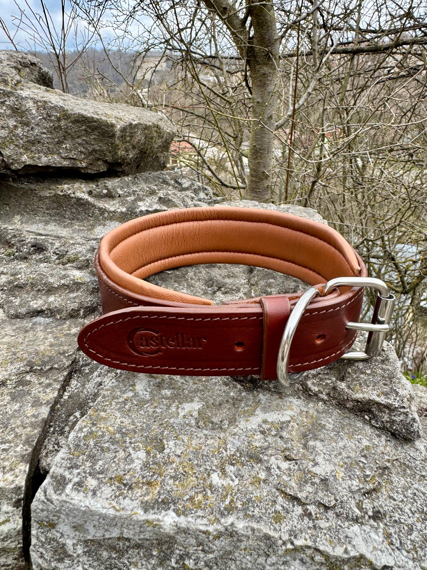 Personalized Leather Dog Collar & Leash Set – Brown & Caramel Edition