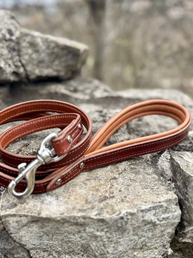 Leather Dog Leash