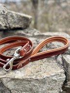 Heavy-Duty Leather Dog Leash - Brown & Caramel Edition