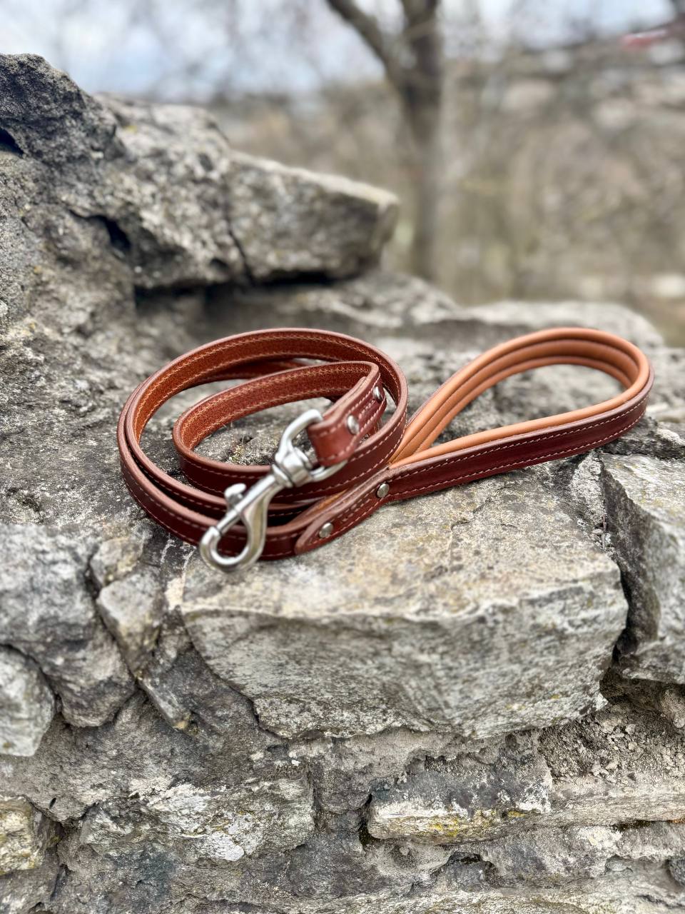 Personalized Leather Dog Collar & Leash Set – Brown & Caramel Edition