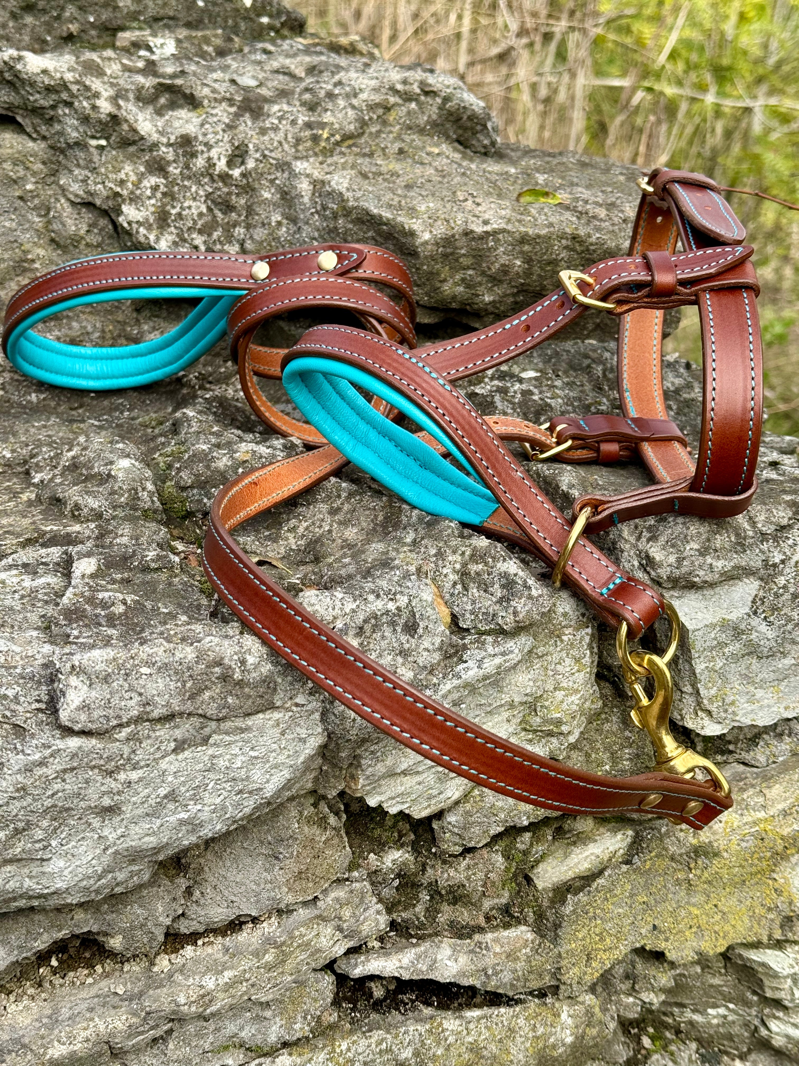 Soft Padded Nose Dog Head Halter Stop Pulling