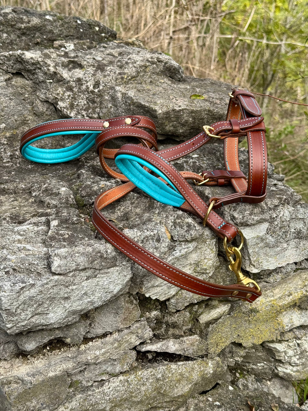 Leather Head Collar & Leash Set, Adjustable Head Halter, No Pull Dog Training Gear for Large Breeds