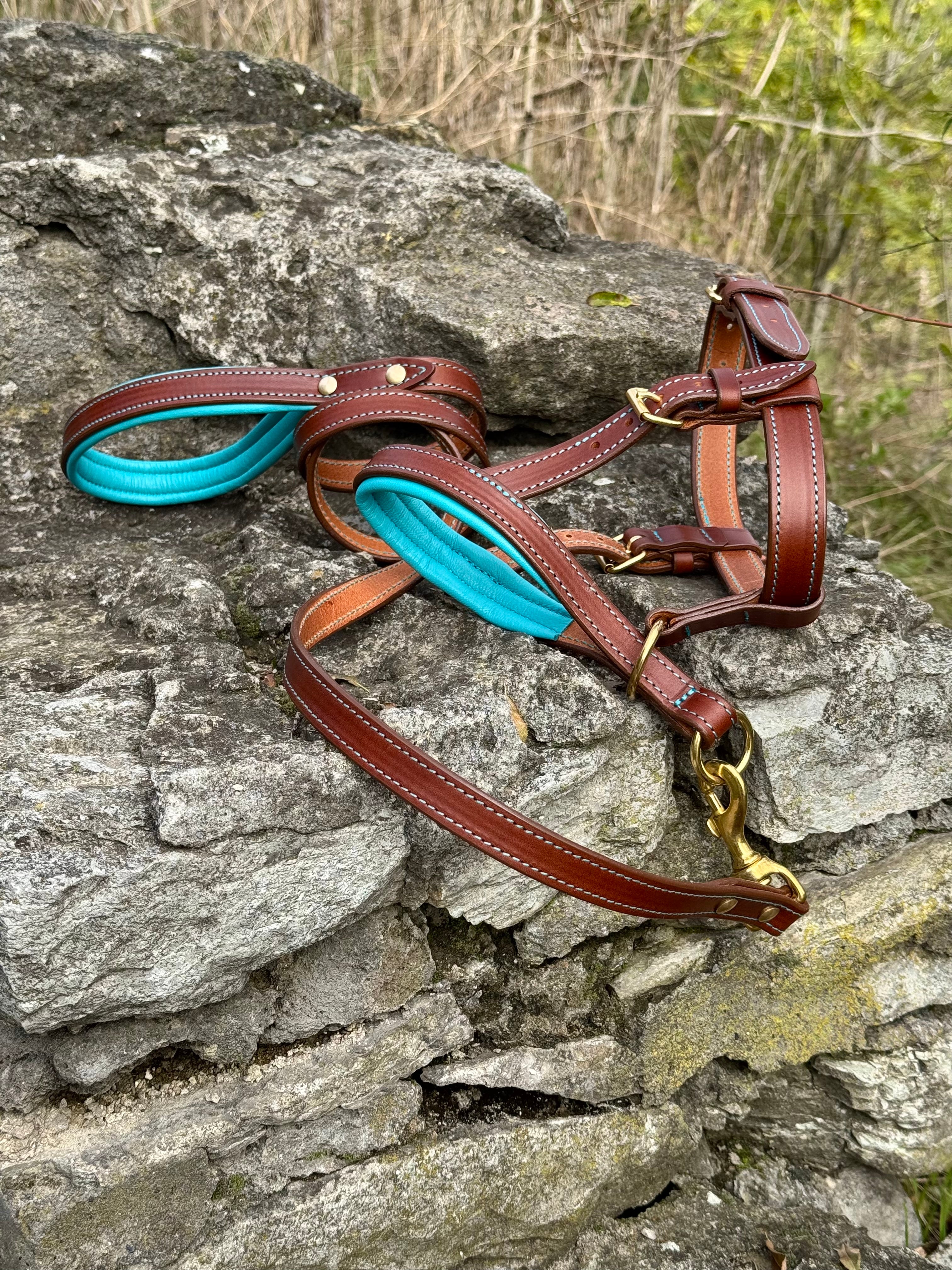 Leather Head Collar & Leash Set, Adjustable Head Halter, No Pull Dog Training Gear for Large Breeds