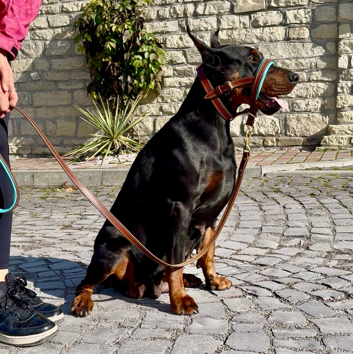 Soft Padded Nose Dog Head Halter Stop Pulling