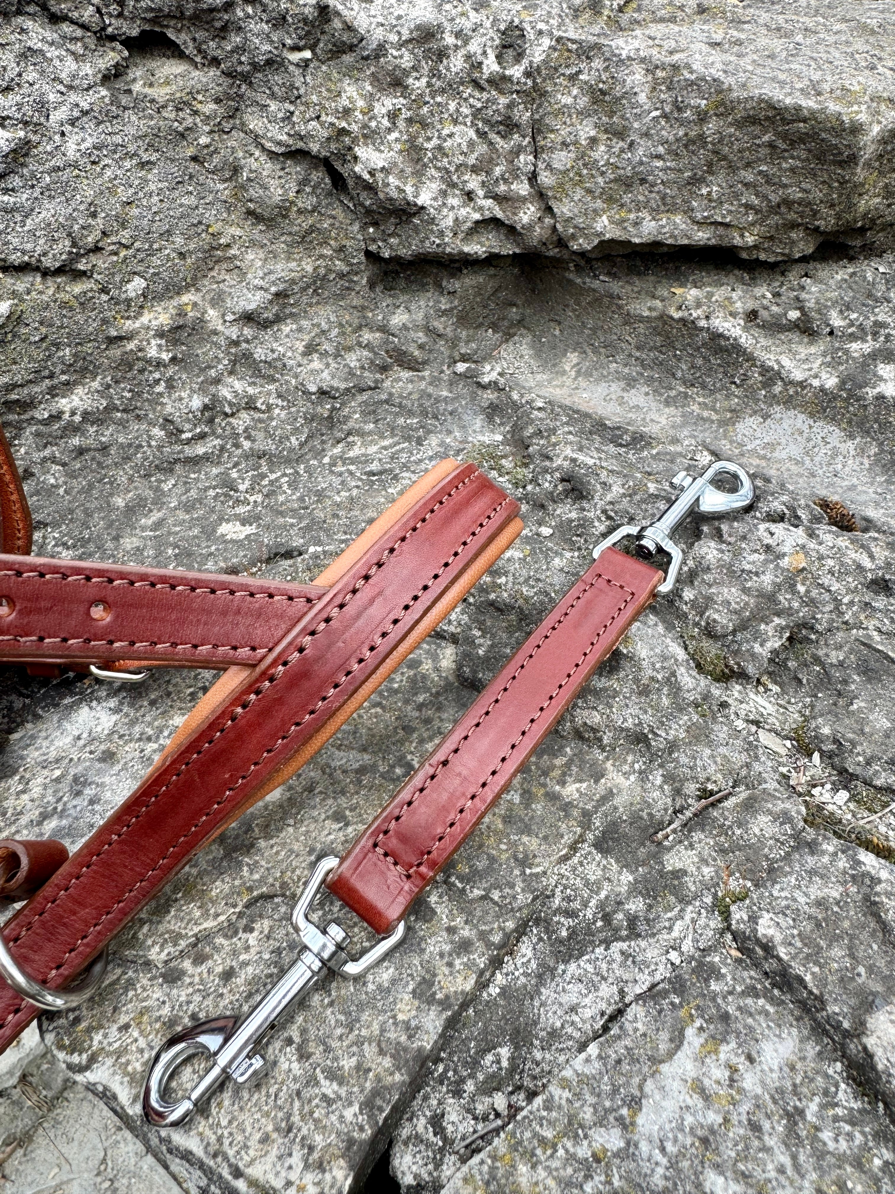 No-Pull Leather Dog Halter - Brown & Caramel Padded Edition