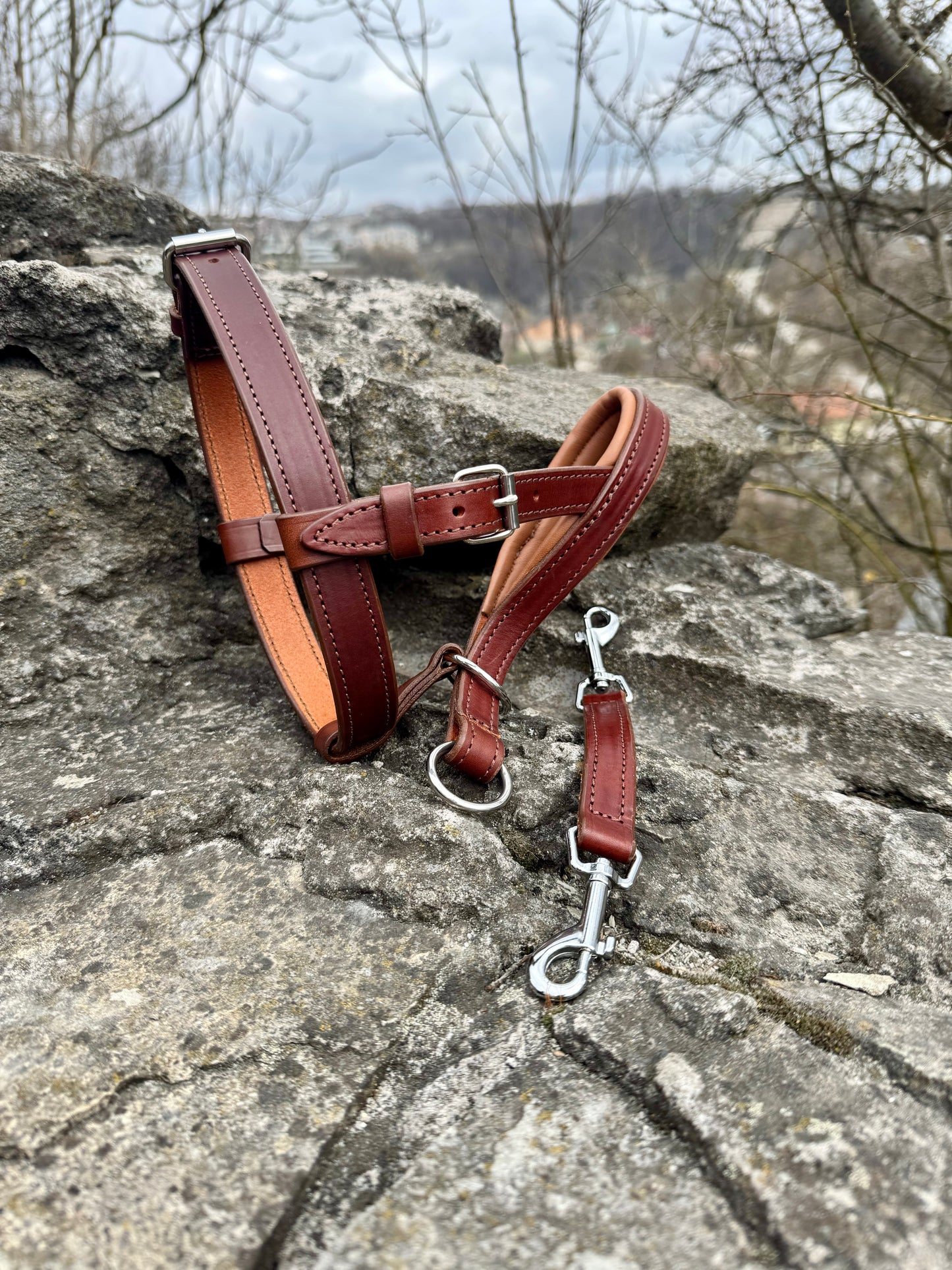 No-Pull Leather Dog Halter - Brown & Caramel Padded Edition