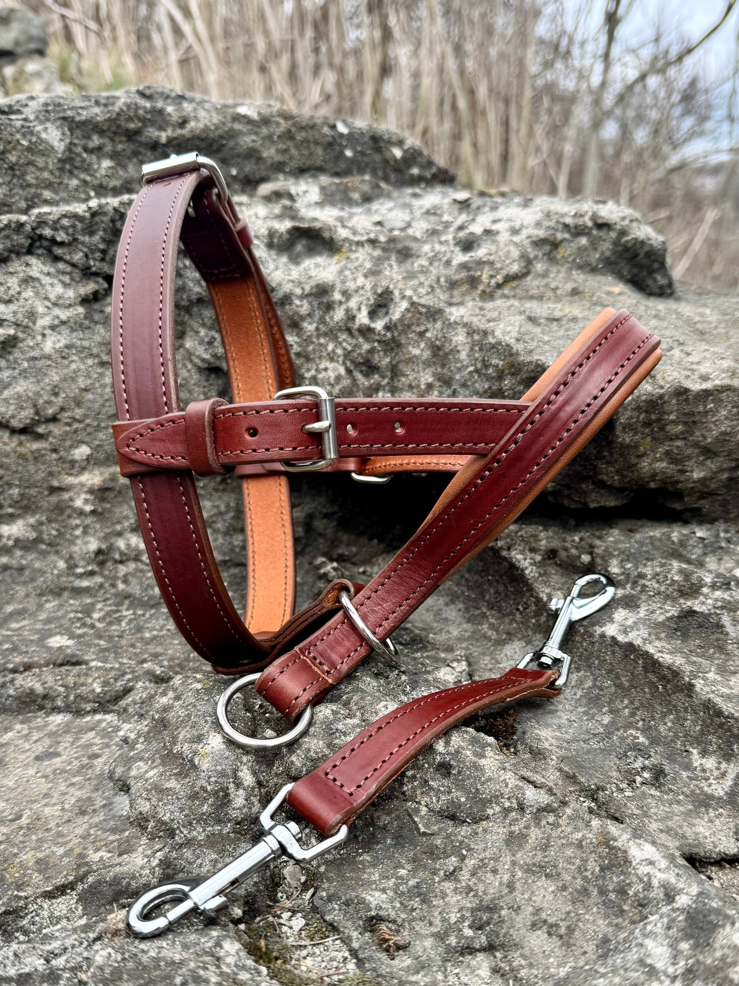 No-Pull Leather Dog Halter - Brown & Caramel Padded Edition