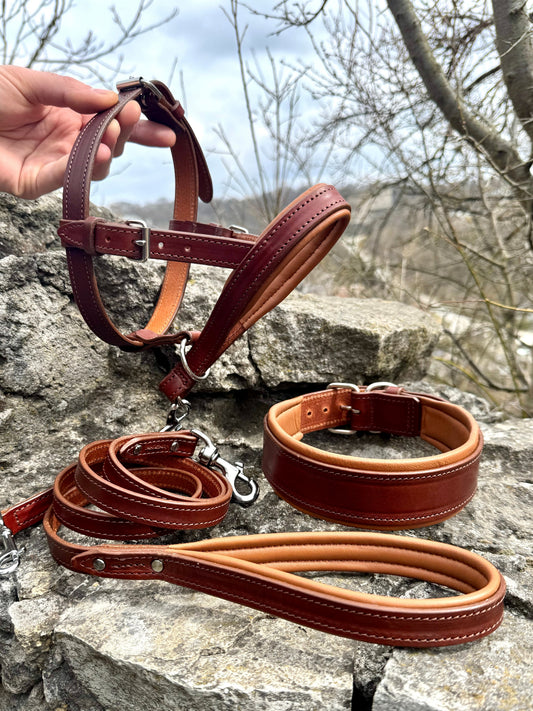 Ultimate No-Pull Leather Dog Set - Brown & Caramel Edition