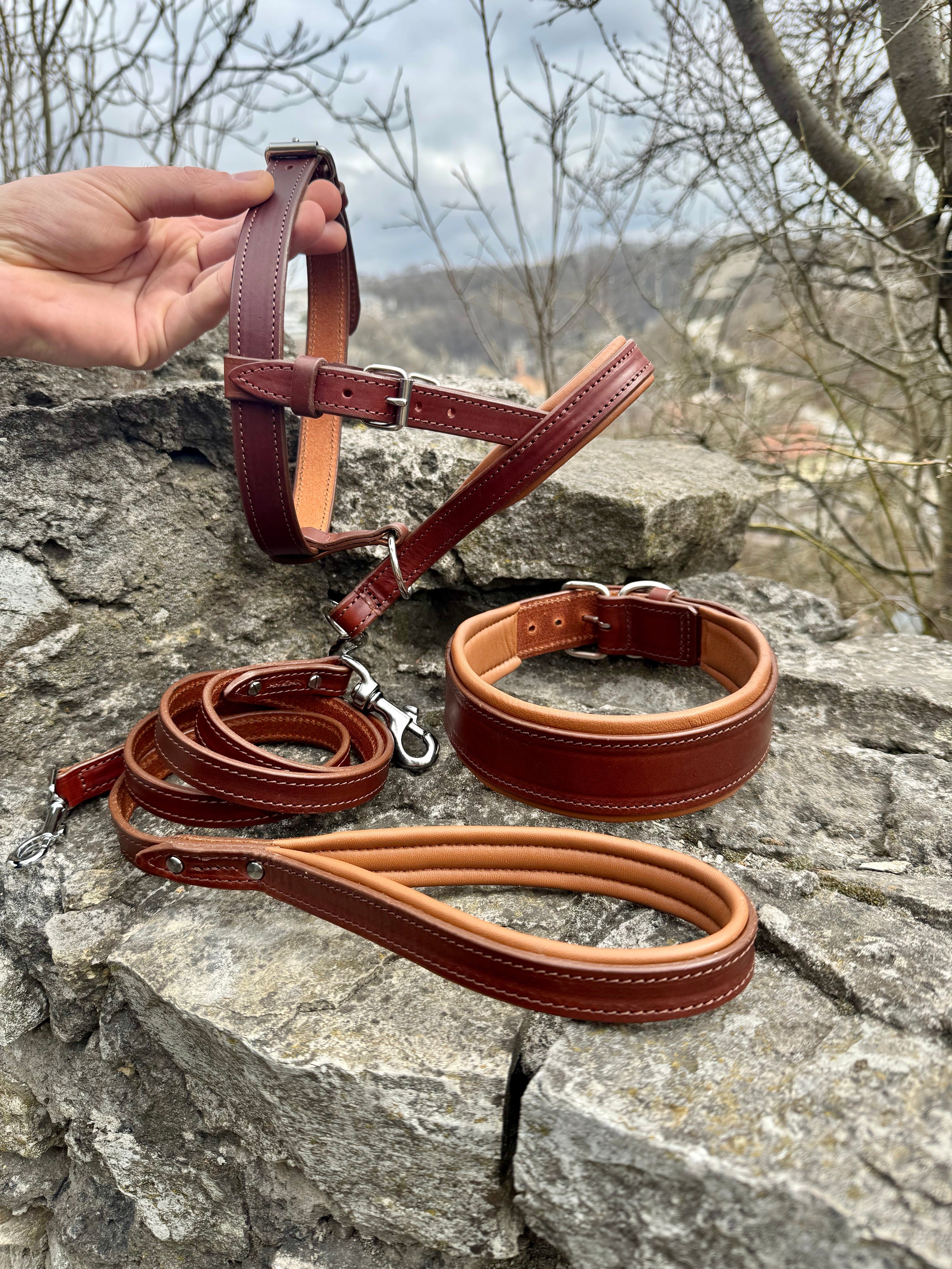 Ultimate No-Pull Leather Dog Set - Brown & Caramel Edition