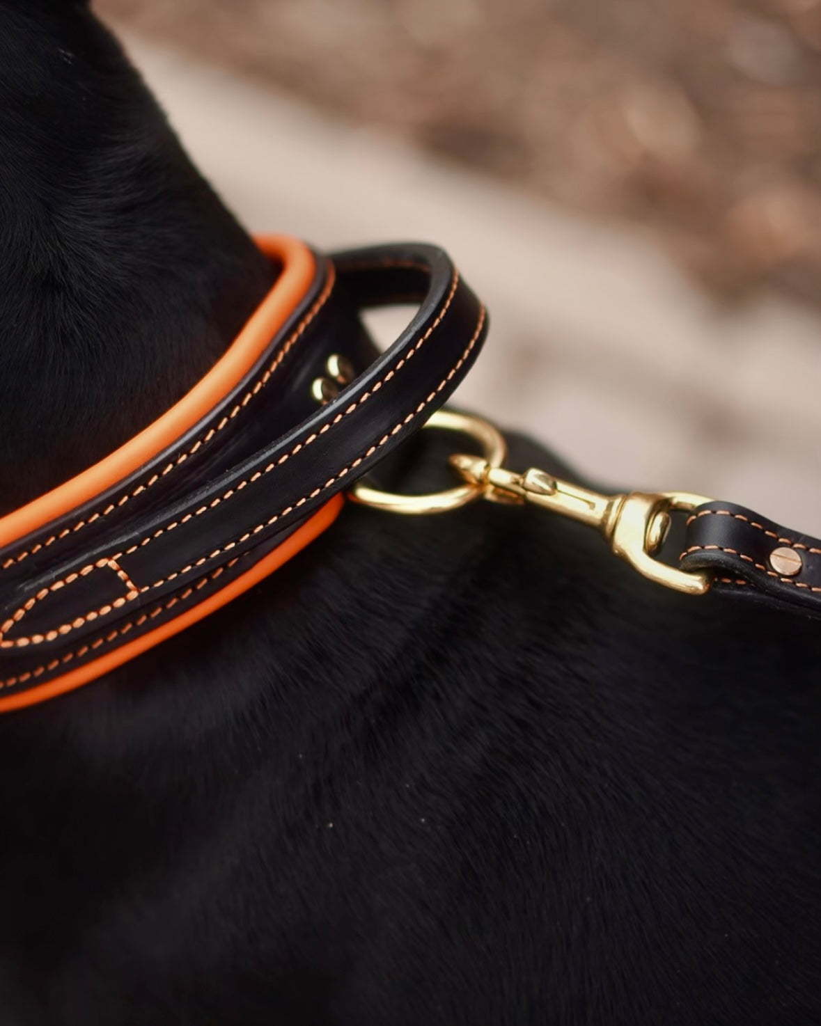 Comfort Edition - Leather Black & Orange Padded Leash