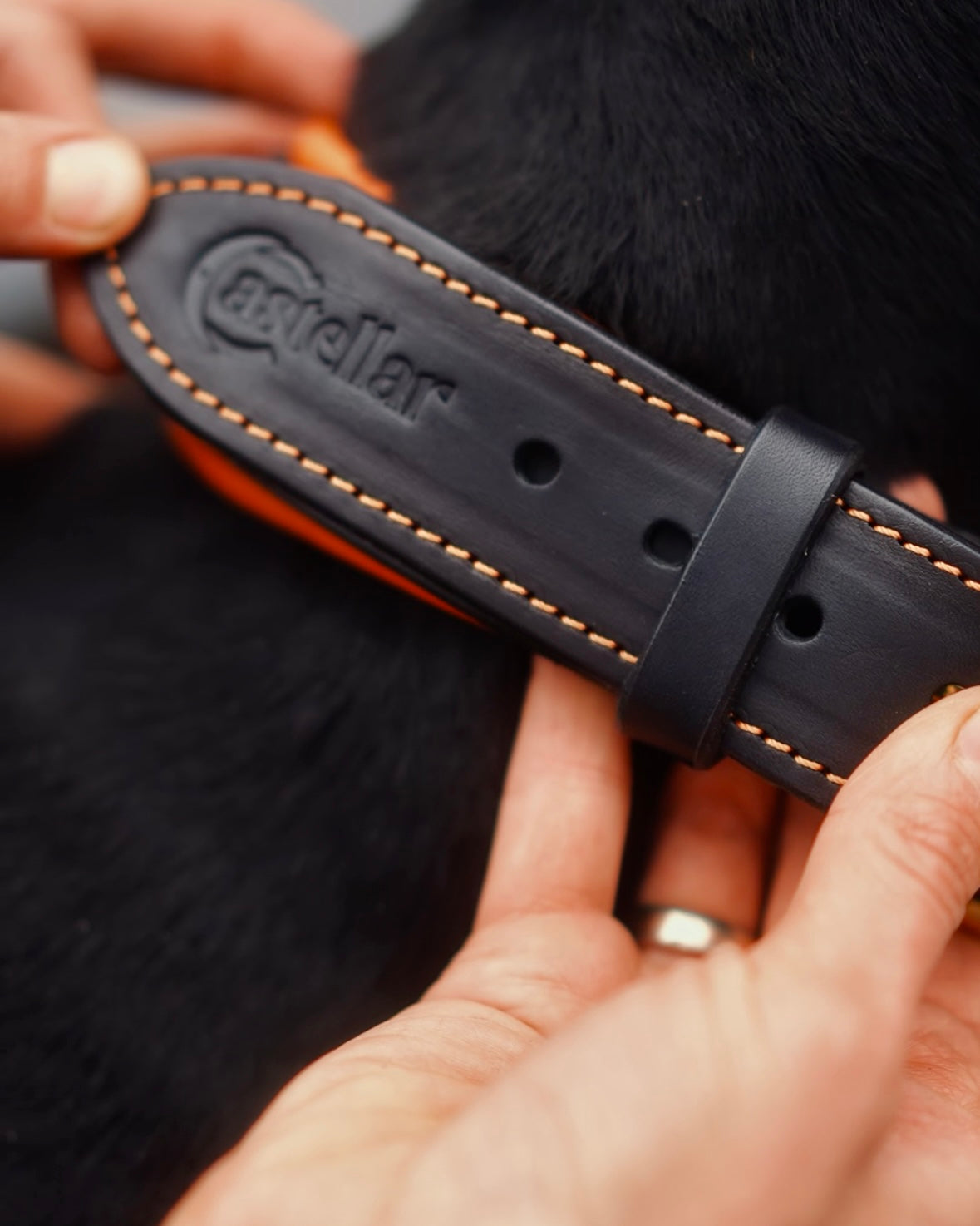 Comfort Edition - Leather Black & Orange Collar with Handle