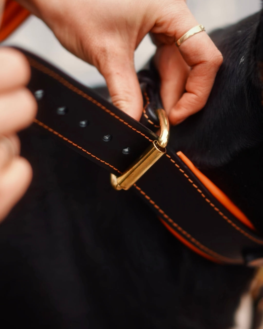 Comfort Edition - Leather Black & Orange Collar with Handle