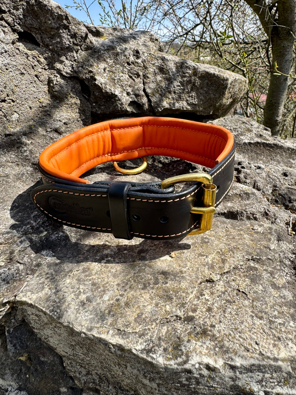 Comfort Edition - Leather Black & Orange Collar with Handle