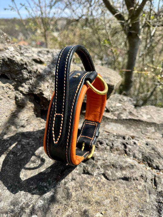 Comfort Edition - Leather Black & Orange Collar with Handle