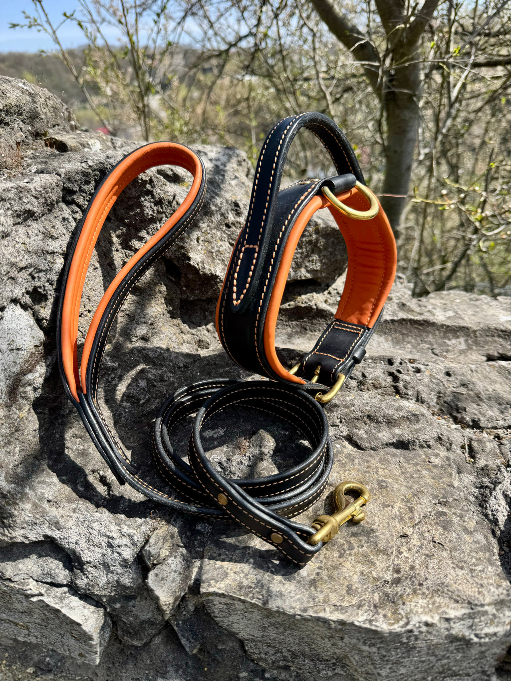 Comfort Edition - Leather Black & Orange Collar with Handle