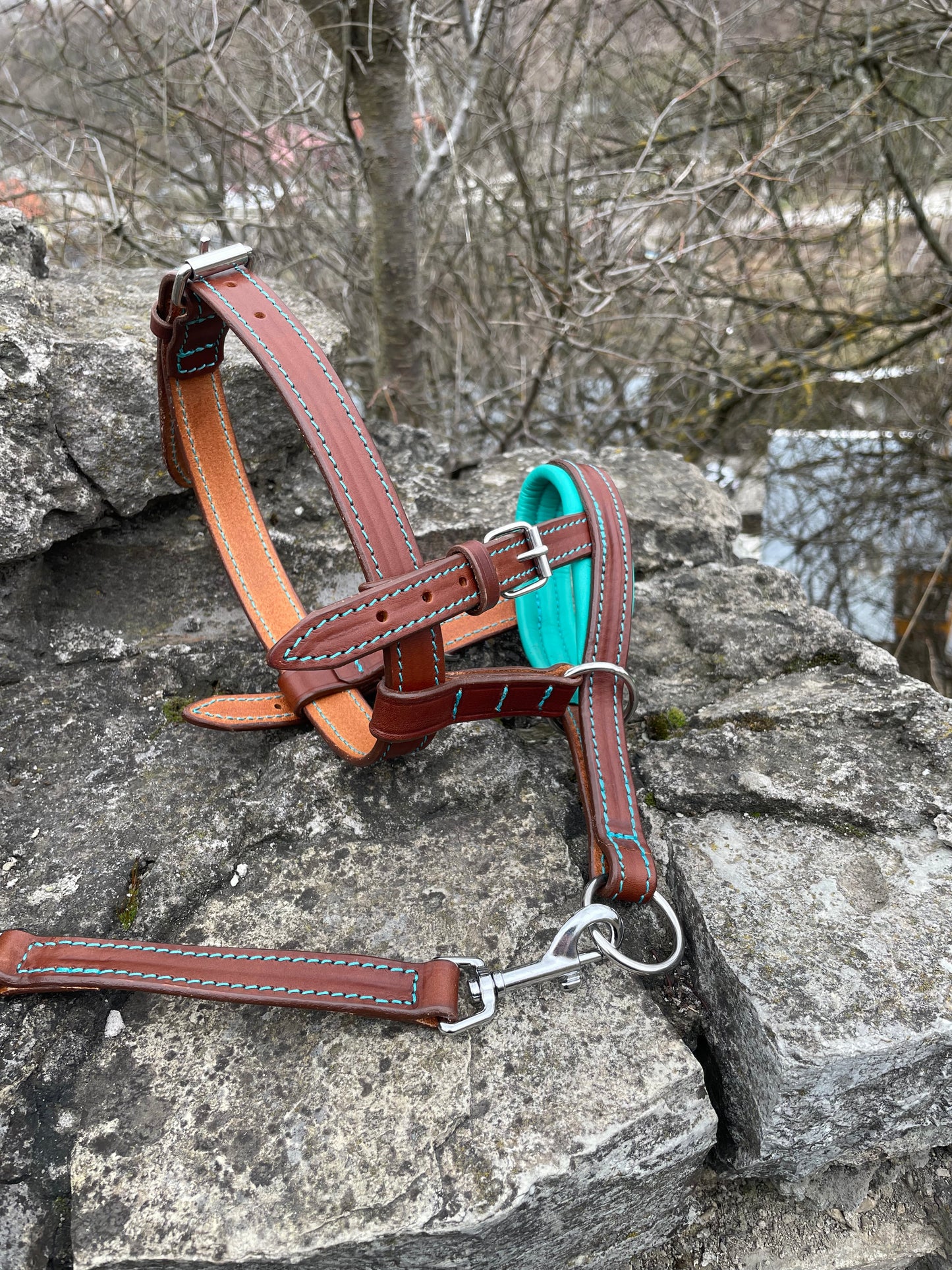 Leather No-Pull Head Collar for Large Dogs