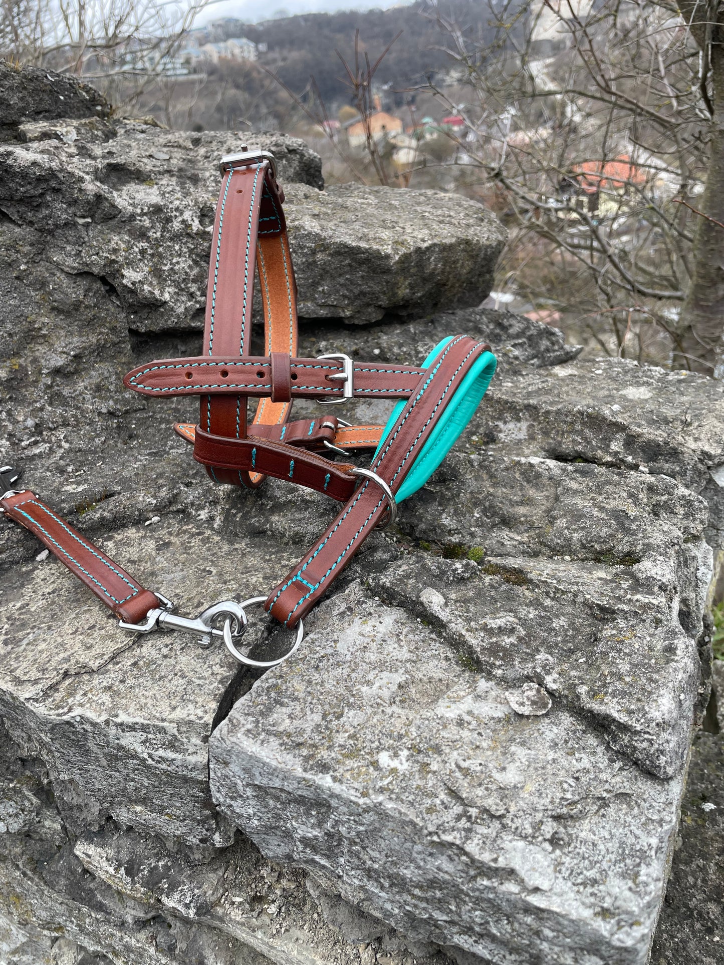 Leather No-Pull Head Collar for Large Dogs