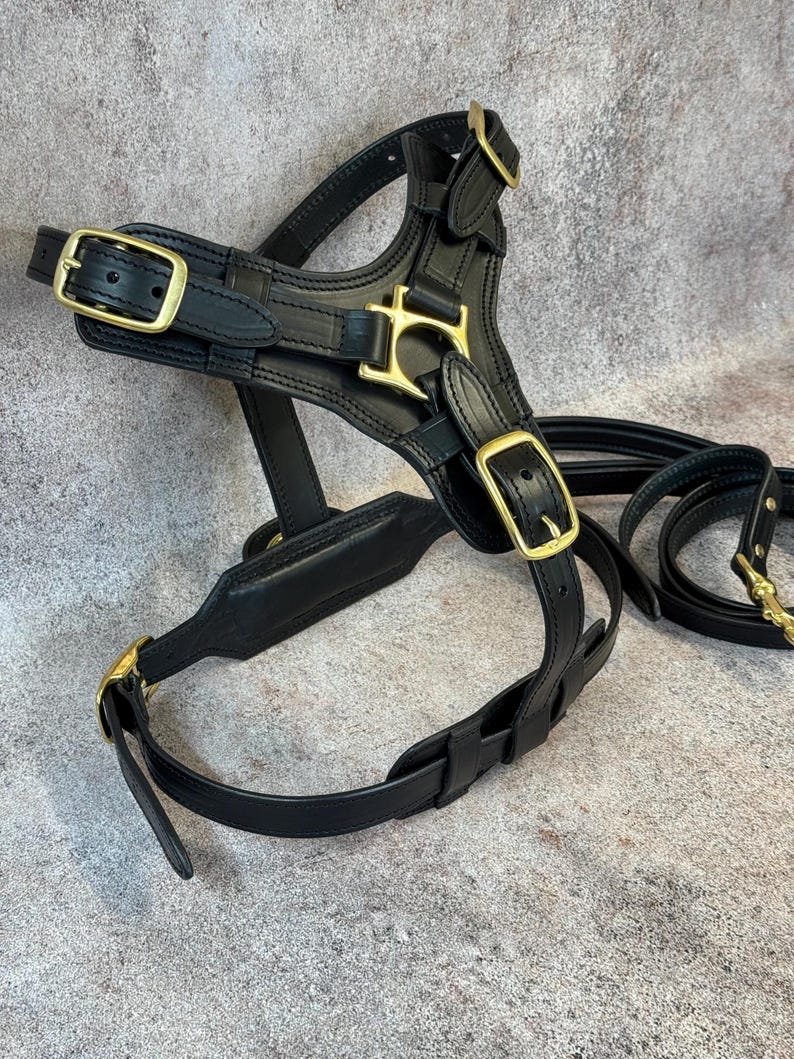 Luxury Leather Harness