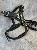 Luxury Leather Harness
