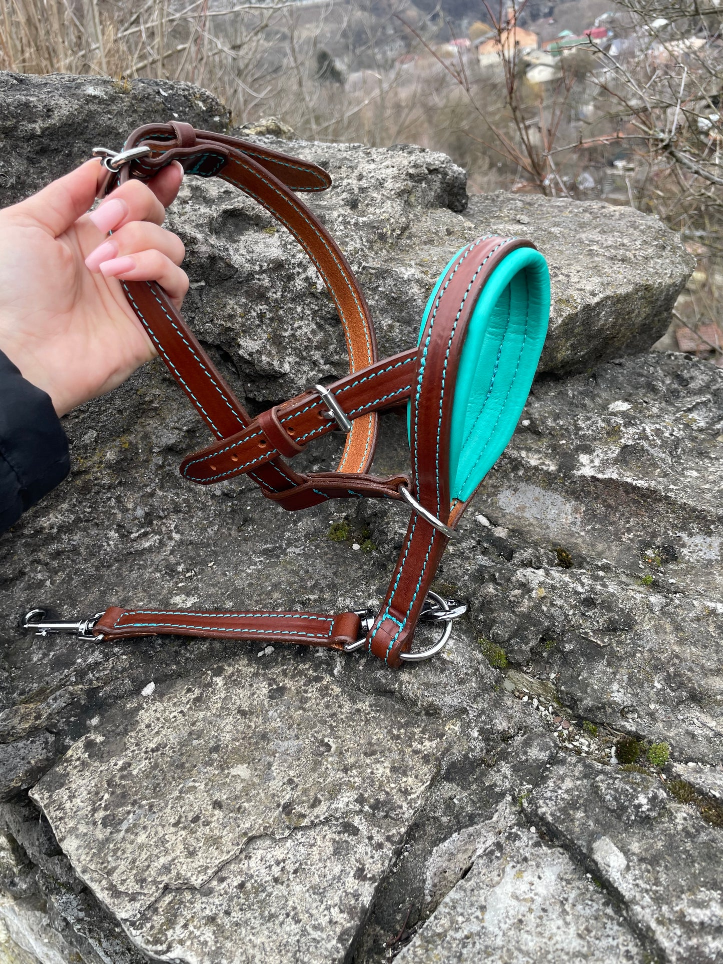 Leather No-Pull Head Collar for Large Dogs