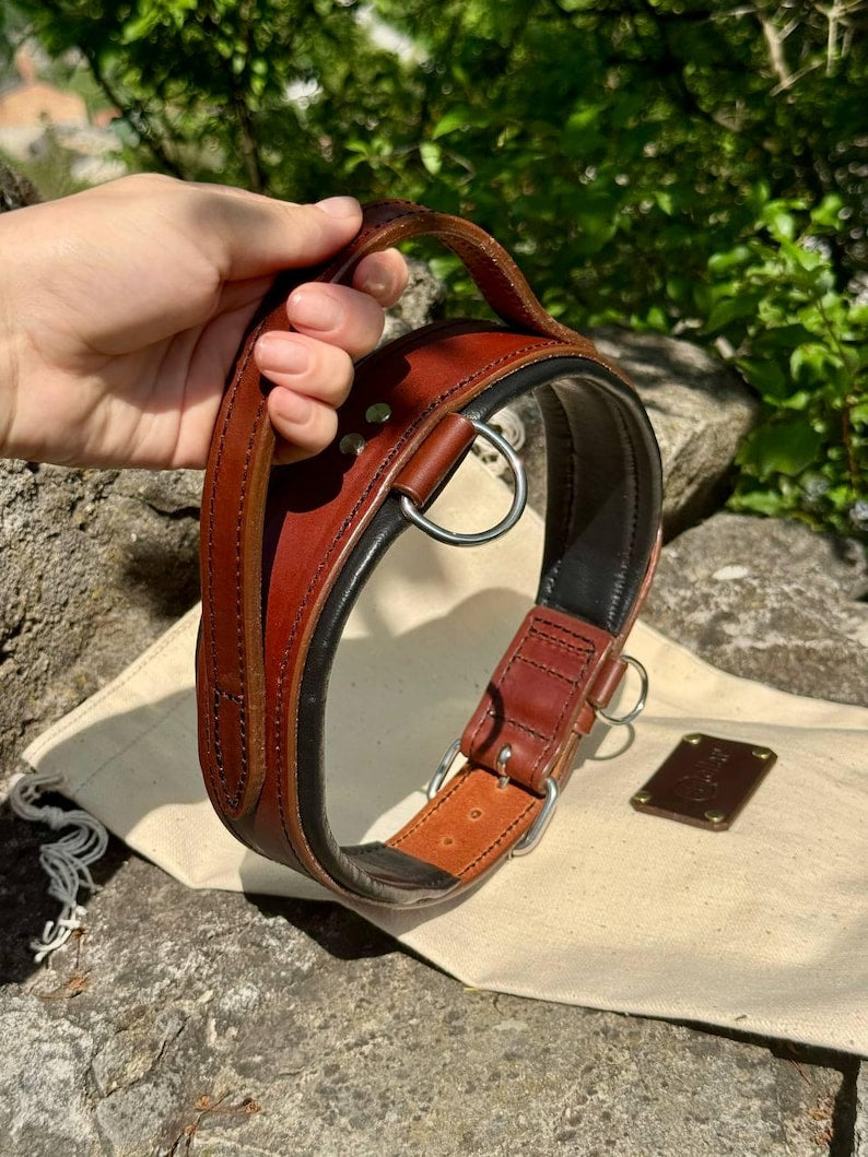 Handle Leather Dog Collar