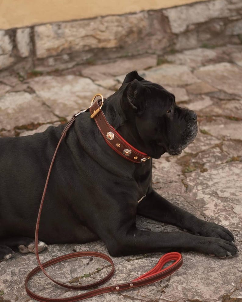 Decorative Leather Dog Collar