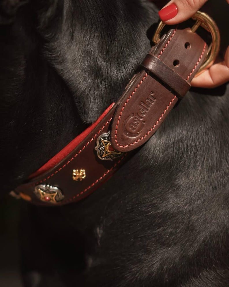 Decorative Leather Dog Collar
