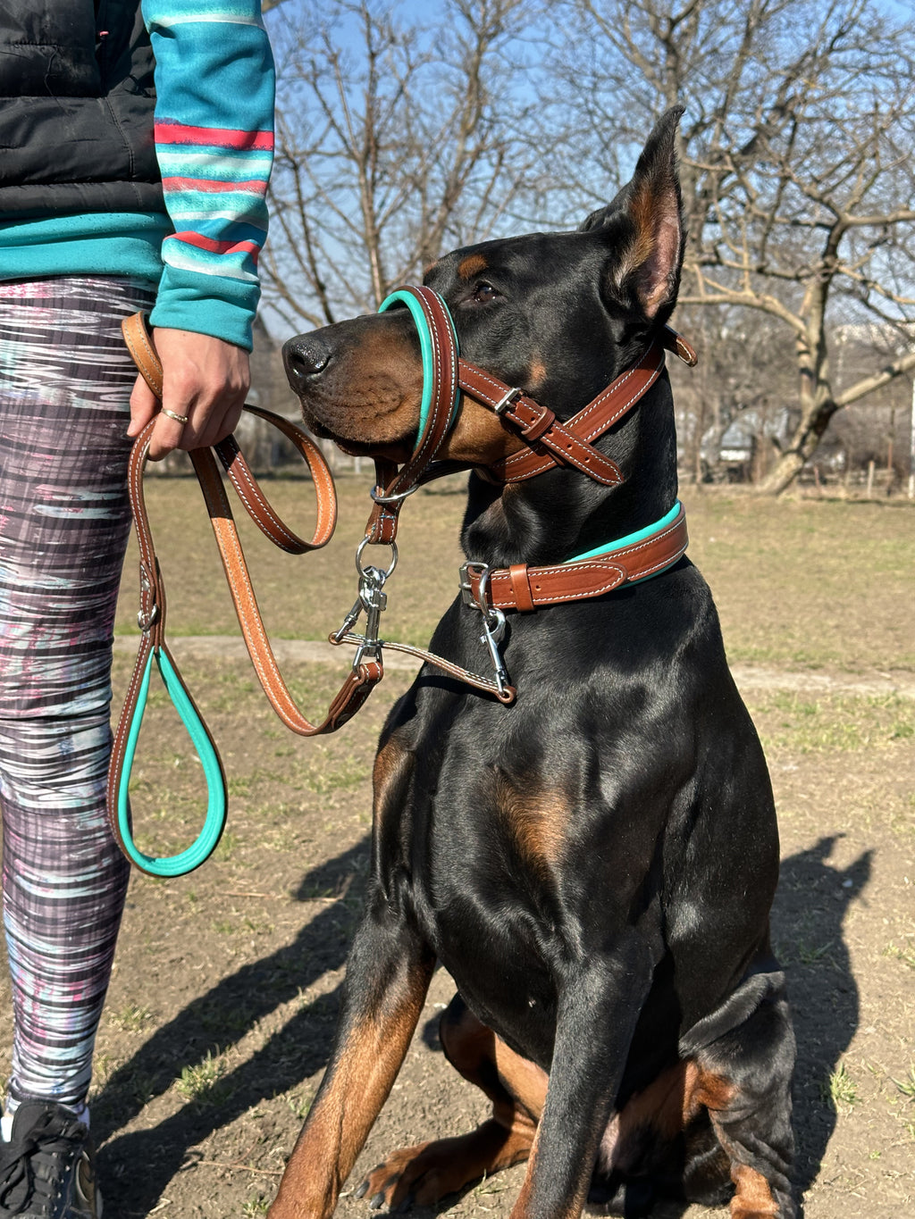 Leather No-Pull Head Collar for Large Dogs