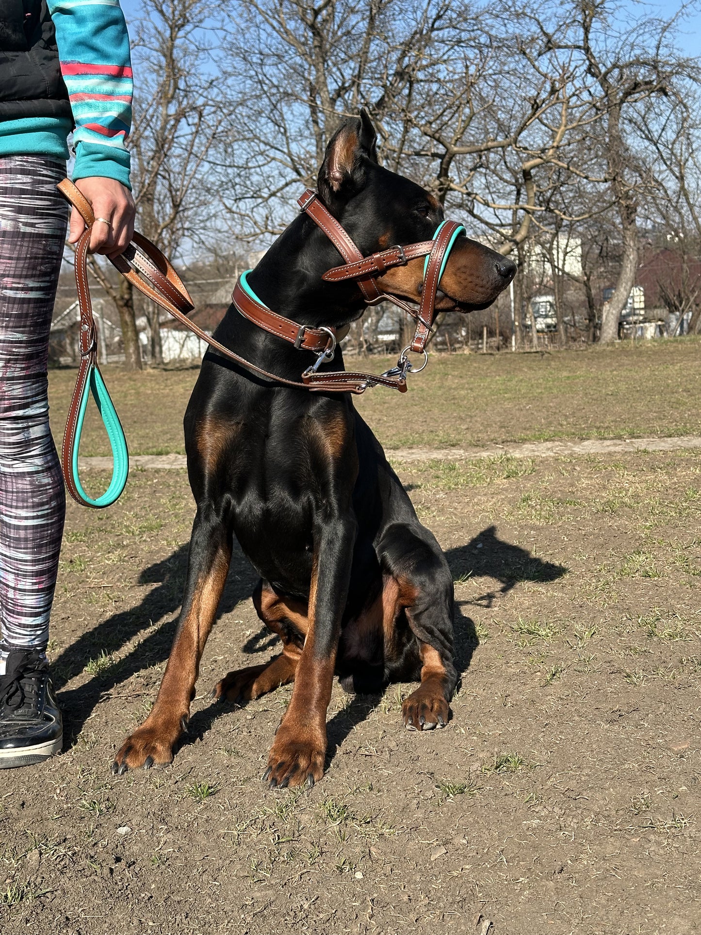 Leather No-Pull Head Collar for Large Dogs